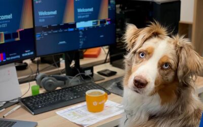 Giornata mondiale del cane in ufficio, ecco le regole base