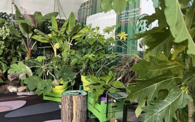 Appuntamenti speciali con la mostra “Dentro le foreste”