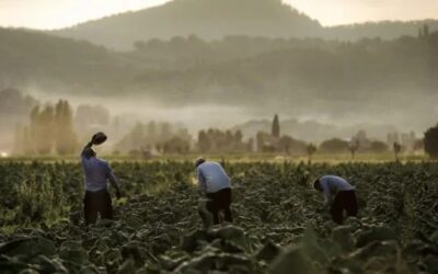 La Repubblica di Cospaia: una storia d’indipendenza tra Umbria e Toscana