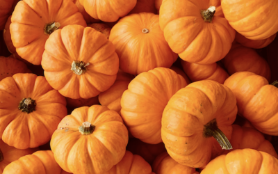 Autunno tempo di zucca… meglio se zero sprechi!