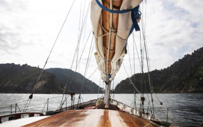Navigare in barca, come restare sempre connessi anche in mezzo al mare