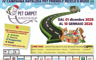 A Natale ritorna il “Pet Carpet: Un riciclo da Oscar”